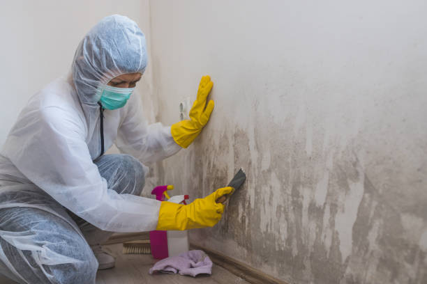 Best Mold Remediation for Healthcare Facilities  in Baltimore, OH