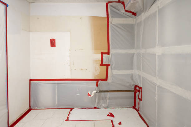 Mold Documentation for Insurance Claims in Baltimore, OH