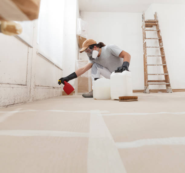 Best Attic Mold Removal  in Baltimore, OH