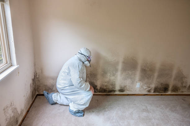 Best Crawl Space Mold Remediation  in Baltimore, OH